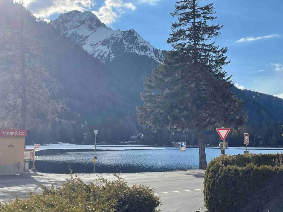 Charmant 2,5 Pieces Avec Jardin A 2 Pas Du Lac Champex-Lac ภายนอก รูปภาพ